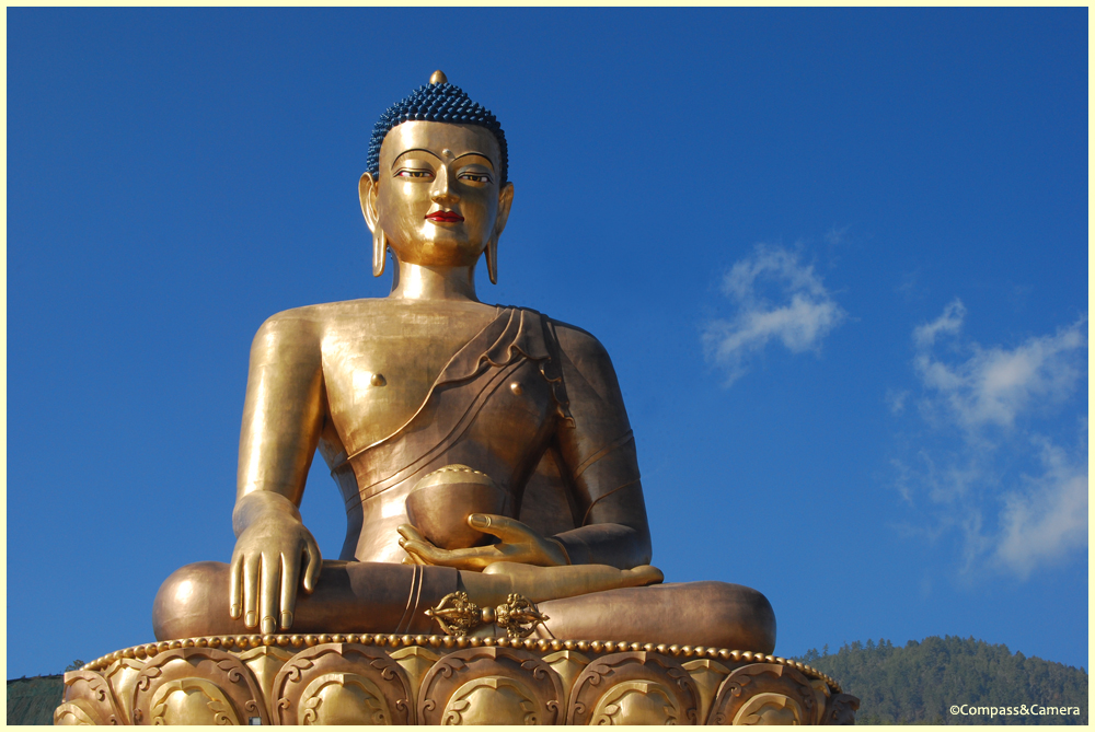 The Sitting Buddha
