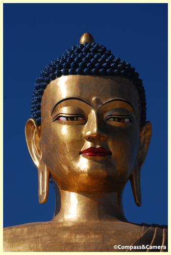 The Sitting Buddha