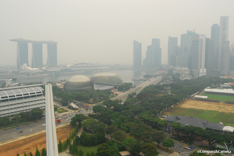 The "haze" from mass rainforest destruction