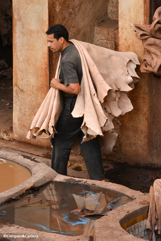 Tannery :: Fez, Morocco